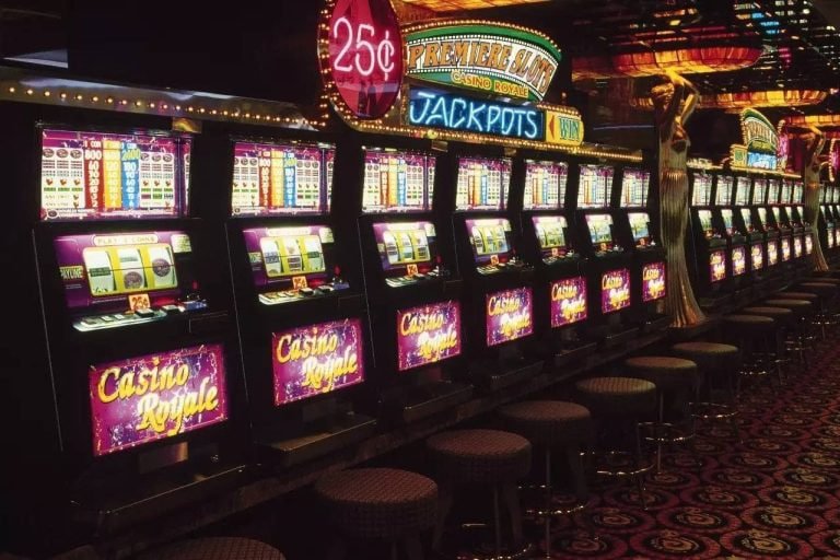 y51 Live Casino